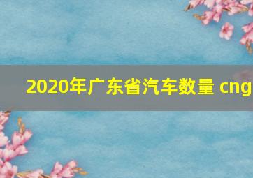 2020年广东省汽车数量 cng